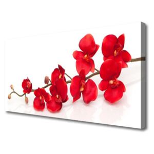 Canvas print Flowers Floral Red