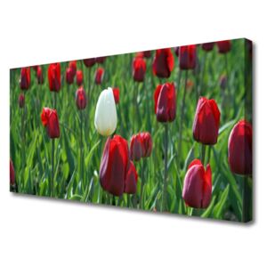 Canvas Wall art Tulips Floral Red White Green