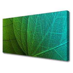 Canvas print Abstract Leaves Floral Green