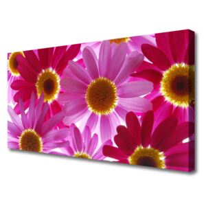 Canvas print Flowers Floral Pink Yellow