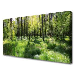 Canvas Wall art Forest Nature Brown Green