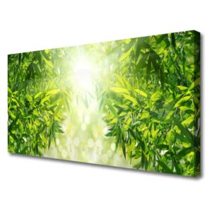 Canvas print Leaves Nature Green