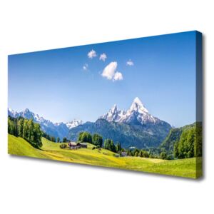 Canvas print Fields Trees Mountains Landscape Green Grey White Blue