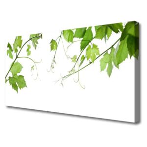 Canvas Wall art Branches Leaves Floral Brown Green