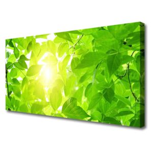 Canvas Wall art Leaves Floral Green