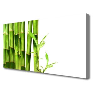 Canvas print Bamboo Floral Green White