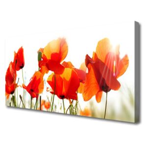 Canvas print Poppies Floral Red Yellow