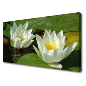 Canvas Wall art Flowers Floral Yellow White