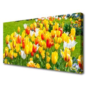 Canvas Wall art Tulips Floral Yellow Red White