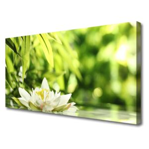Canvas print Flower Leaves Floral White Green Yellow