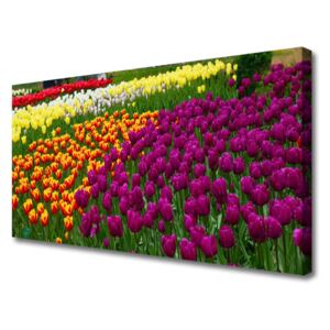 Canvas print Tulips Floral Yellow Red Green White