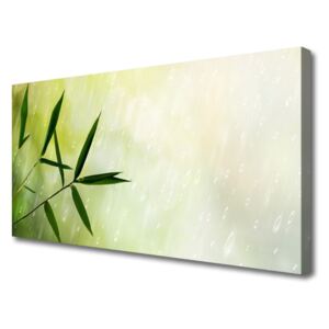 Canvas print Leaves Rain Floral Green