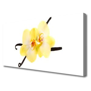 Canvas Wall art Flowers Floral White Yellow Brown