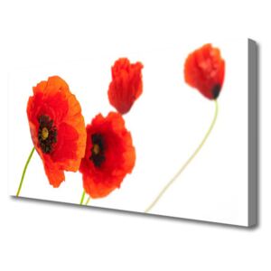 Canvas print Flowers Floral Red Green