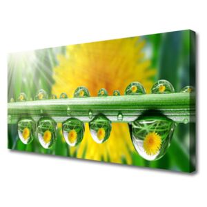 Canvas Wall art Stem Dew Drops Floral Green