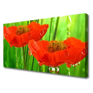 Canvas print Poppies Floral Red Green