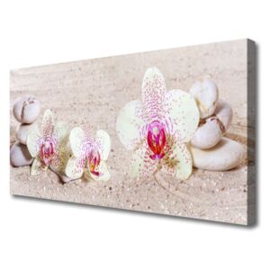 Canvas Wall art Flower Stones Floral White