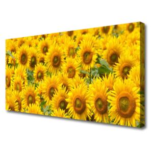 Canvas print Sunflowers Floral Yellow Brown Green