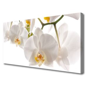 Canvas Wall art Flowers Floral White