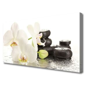 Canvas Wall art Flower Stones Floral White Black