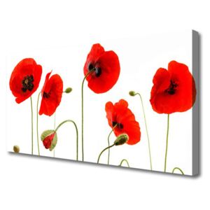 Canvas print Poppies Floral Red Black Green