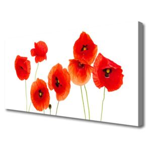 Canvas Wall art Poppies Floral Red Black