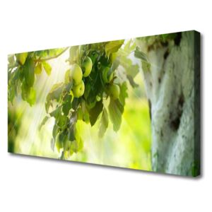 Canvas Wall art Branch Of Apples Kitchen Green Brown