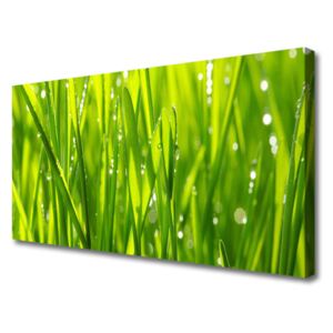 Canvas Wall art Grass Nature Green