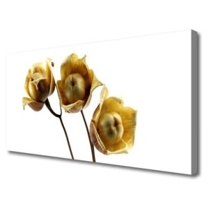 Canvas print Flowers Floral Green Brown