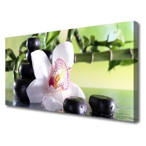 Canvas Wall art Bamboo Cane Flower Stones Floral Green White Black