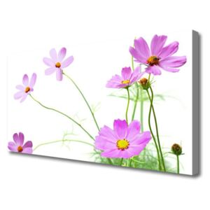 Canvas print Flowers Floral Pink Green