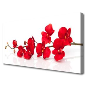 Canvas Wall art Flowers Floral Red
