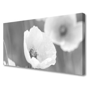Canvas Wall art Poppies Floral Grey