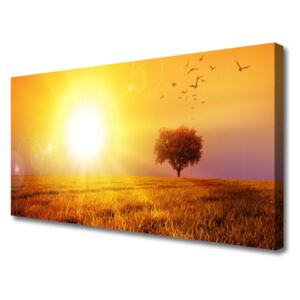 Canvas Wall art Sun Meadow Landscape Yellow Brown