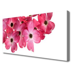 Canvas print Flowers Floral Pink White