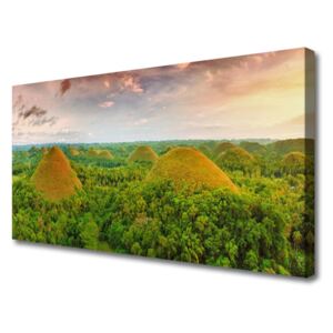 Canvas print Forest Nature Green