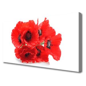 Canvas print Flowers Floral Red White