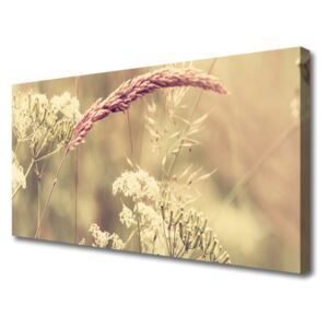 Canvas Wall art Wild Plants Floral White Brown