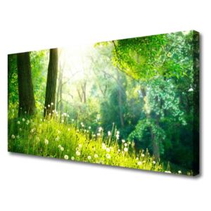 Canvas Wall art Meadow Nature Green