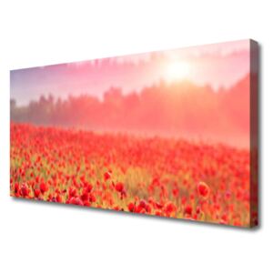 Canvas print Meadow Flowers Nature Red Green
