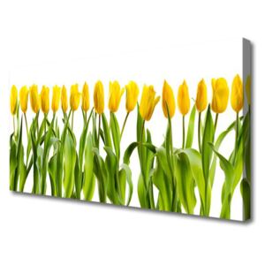 Canvas Wall art Tulips Floral Green Yellow