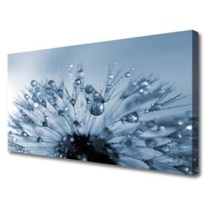 Canvas Wall art Dandelion Floral Blue