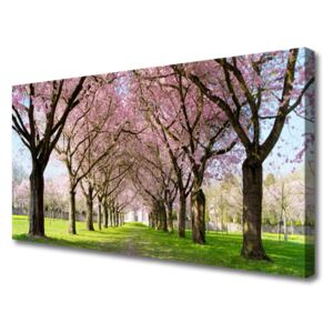 Canvas Wall art Footpath Trees Nature Brown Pink Green
