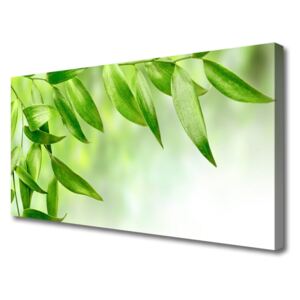 Canvas Wall art Leaves Floral Green