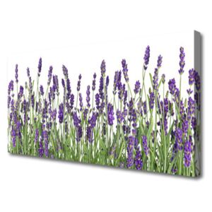 Canvas Wall art Flowers Floral Purple
