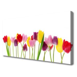 Canvas print Tulips Floral Multi