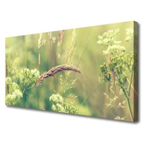 Canvas Wall art Wild Plants Floral White Green Brown