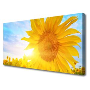 Canvas Wall art Sunflower Floral Yellow