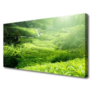 Canvas print Meadow Nature Green