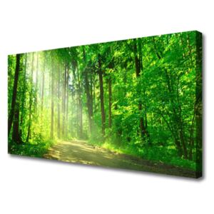 Canvas Wall art Forest Nature Brown Green